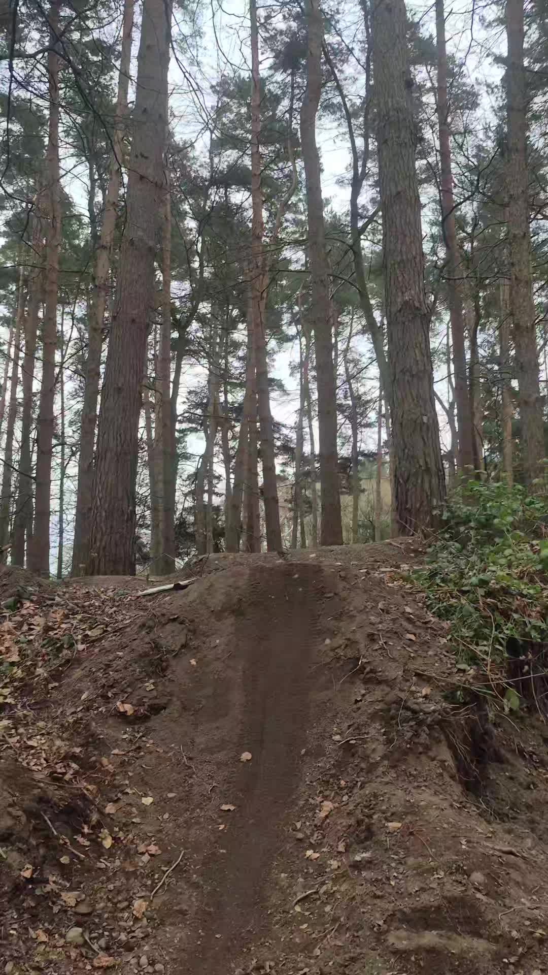 @CB_158