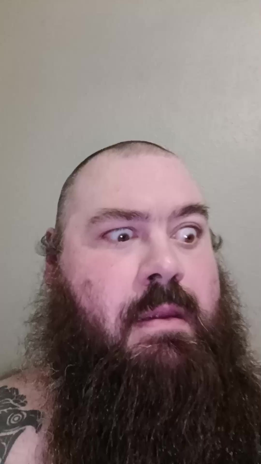 @TheWoolyDragon