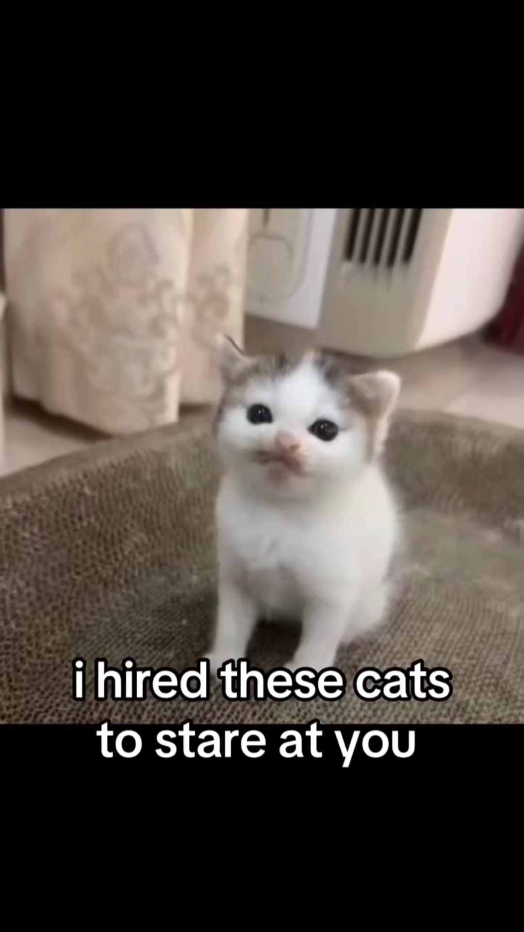 @𝒞𝑜𝒹𝓇𝒾𝓃