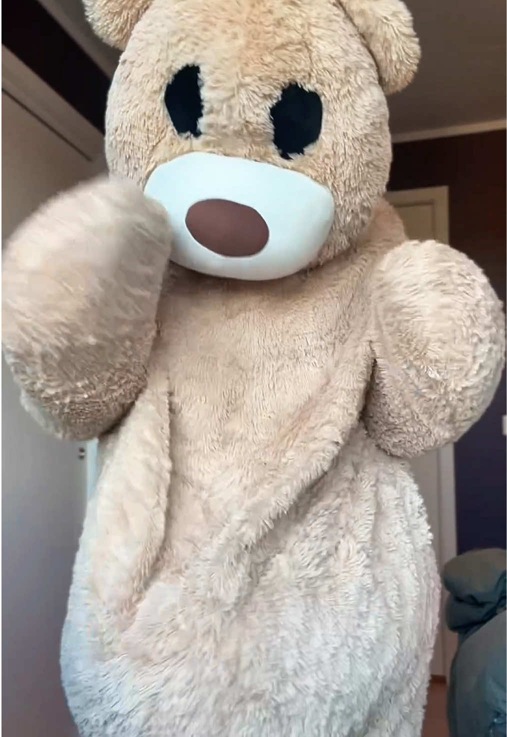 @teddytok
