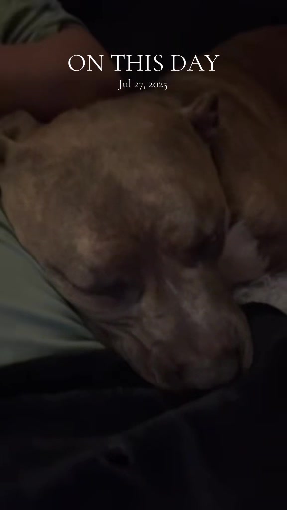 @Emz_N_her_bullies