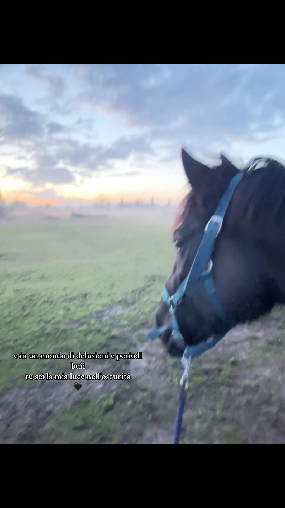 @🖤𝓖𝓲𝓷𝓮&𝓡𝓮𝓭🖤