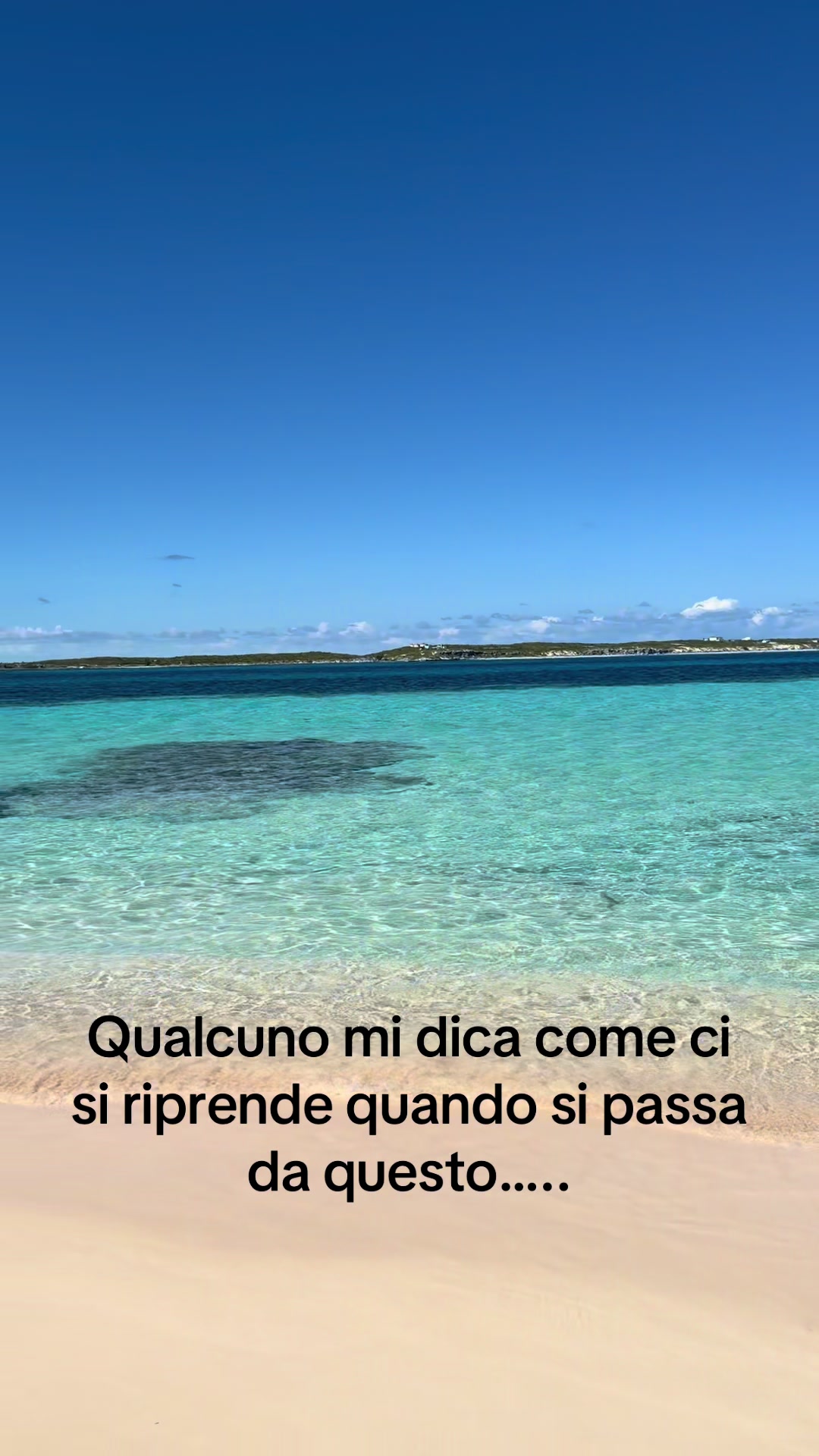 @martinacollaboration