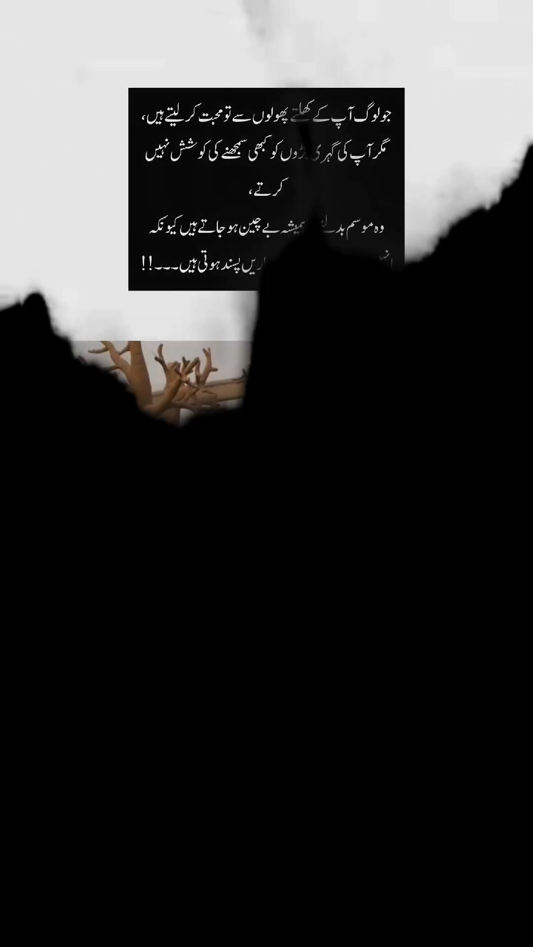 @AYEشHA
