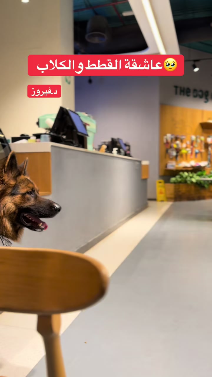 @الدكتورة فيروز البرغثي 💵🇱🇾