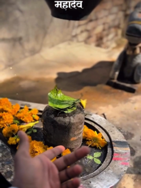 @➳🧡शिवभक्त 🚩🥀꧂