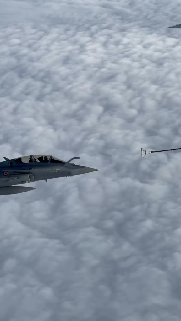 @الشاوي 🔥🇩🇿المتمرد🕸️ 🛩💙