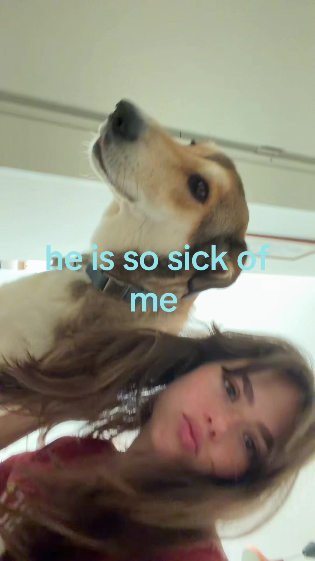 @claudia 🦌