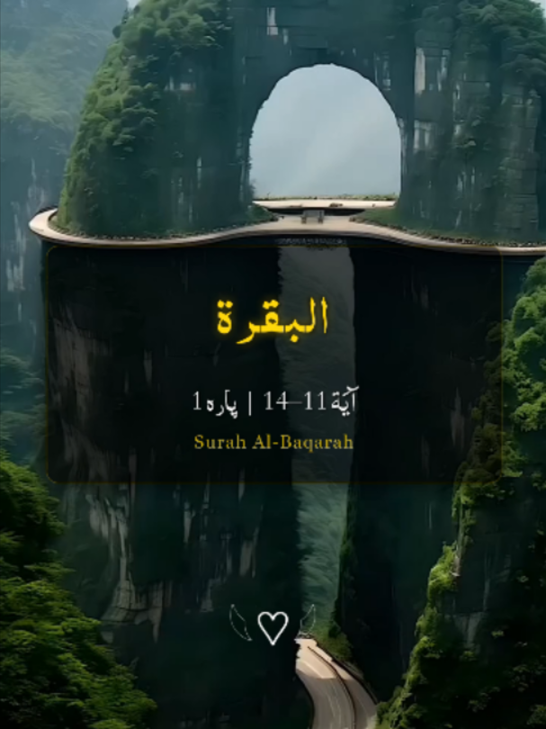 @❣️ Words of Allah ❣️