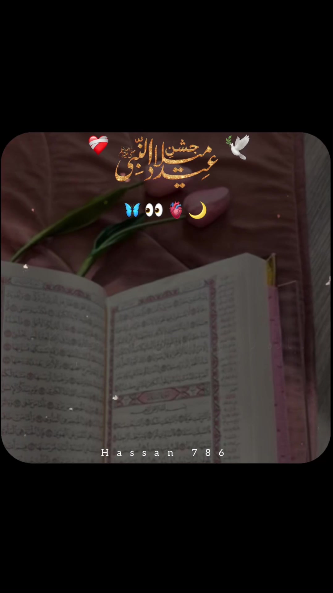@Hassan 786