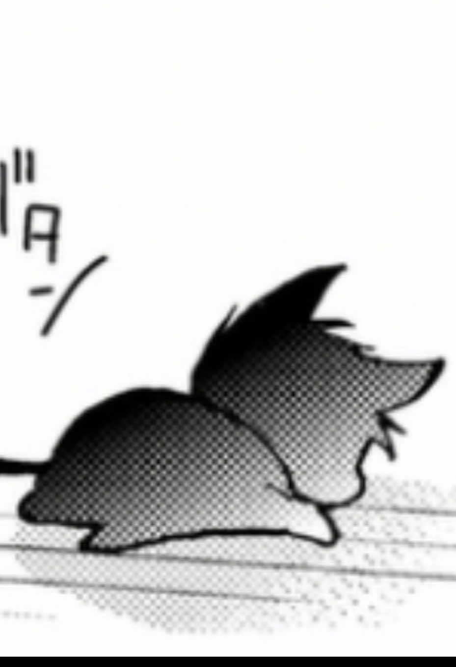 @kuru