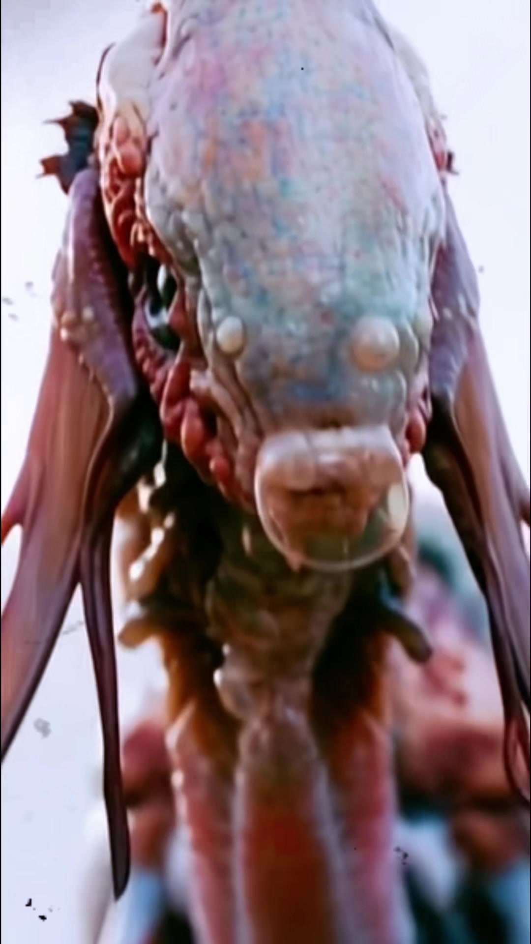 @ExoplanetWildlife