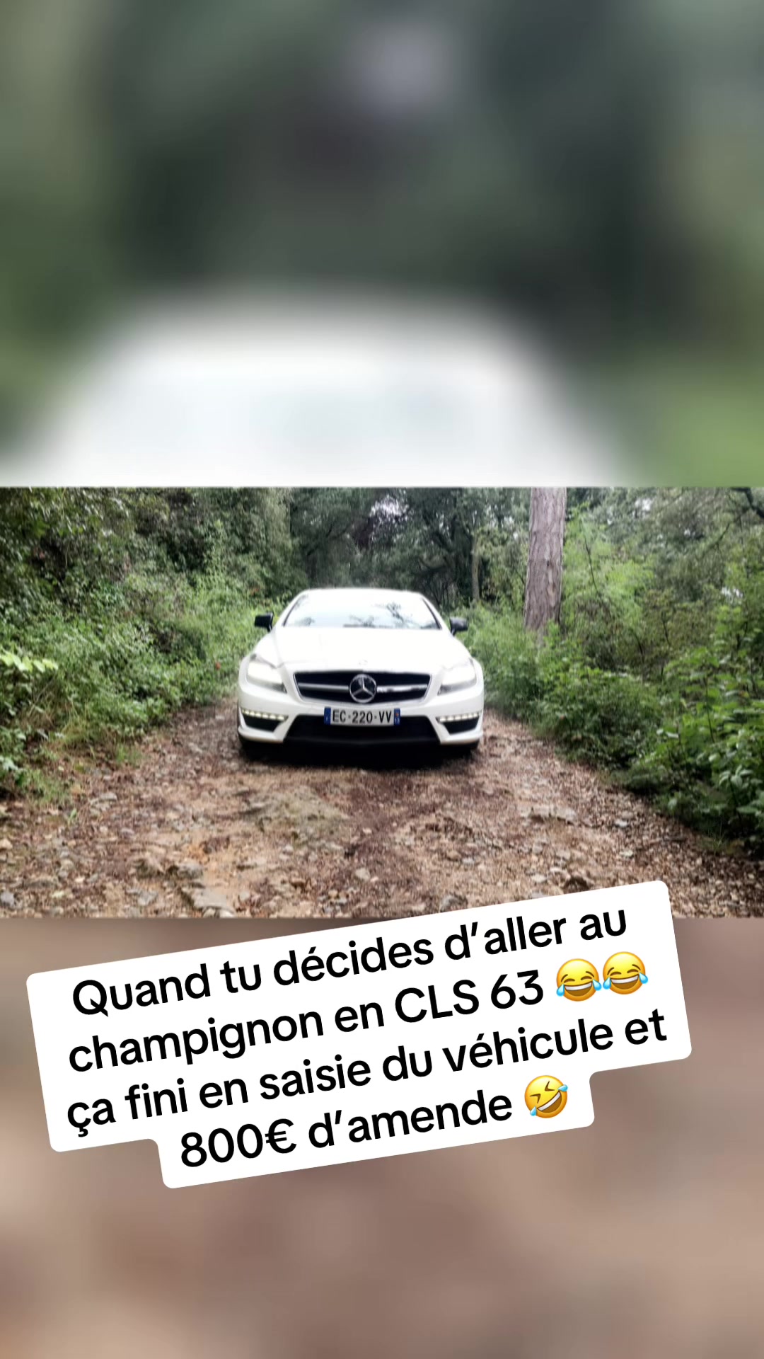 @Les aventures de JUJU