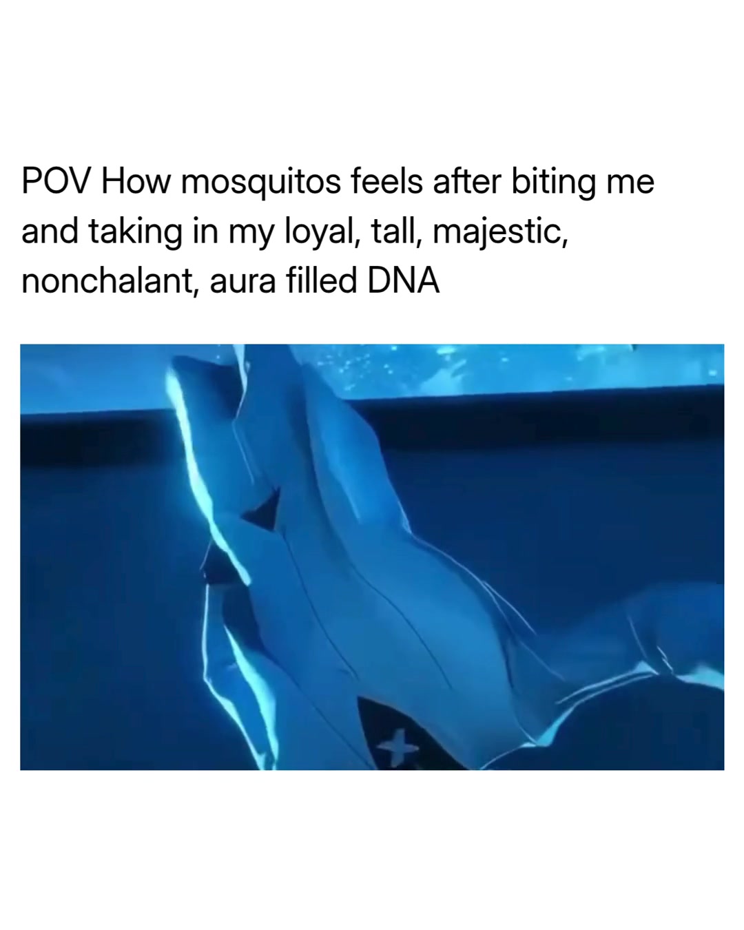 @Memezar