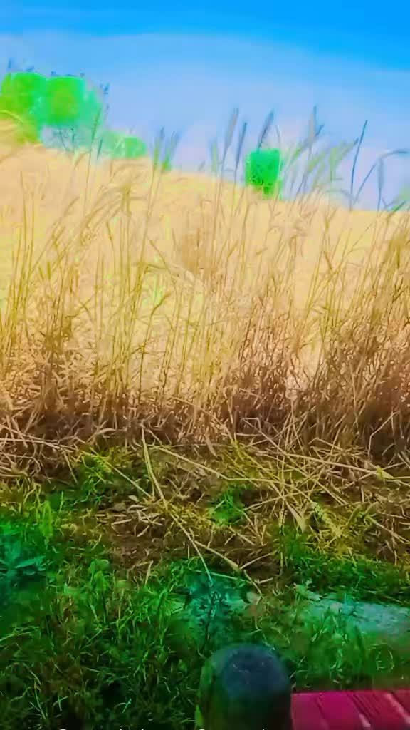 @Hammad Ali 786
