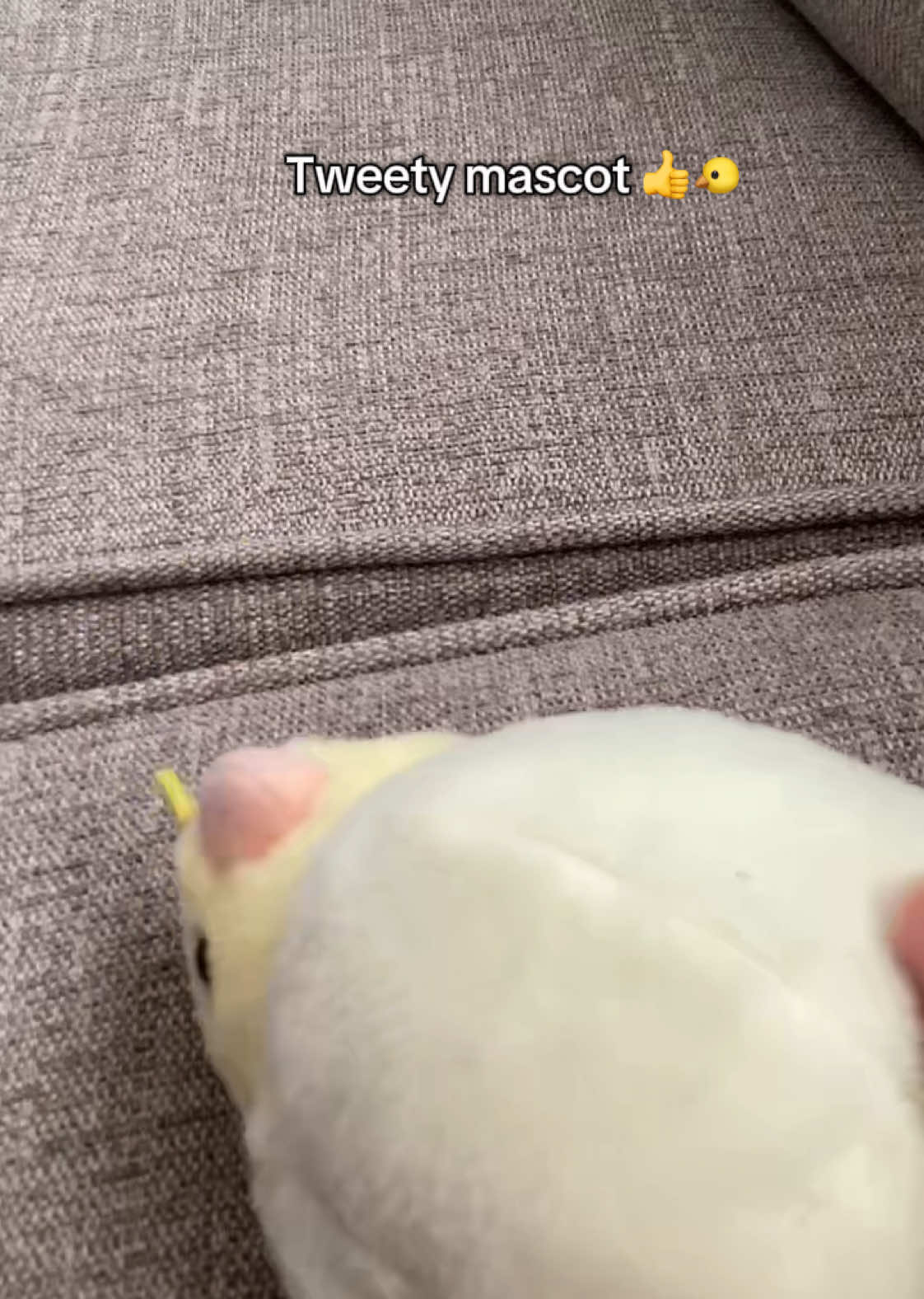@tweety