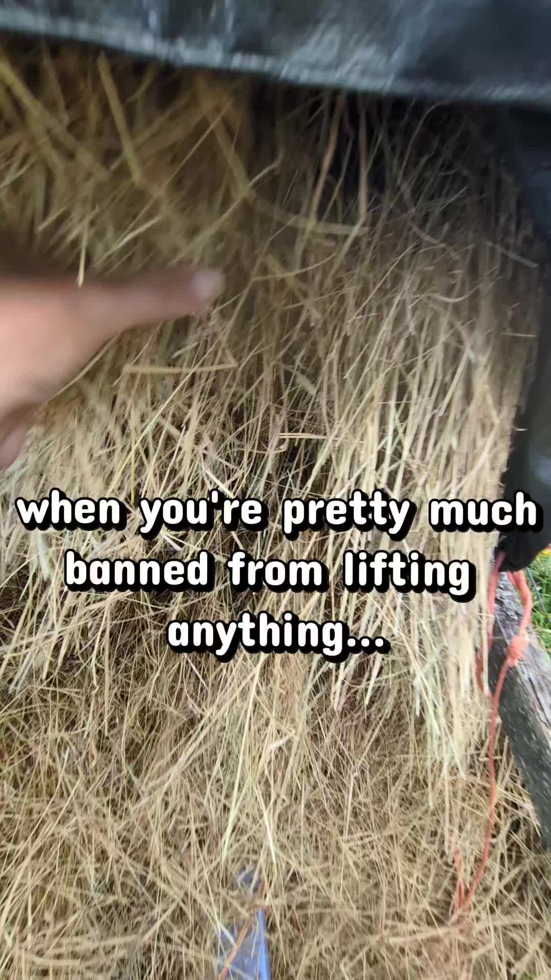 @Hopping Hooves