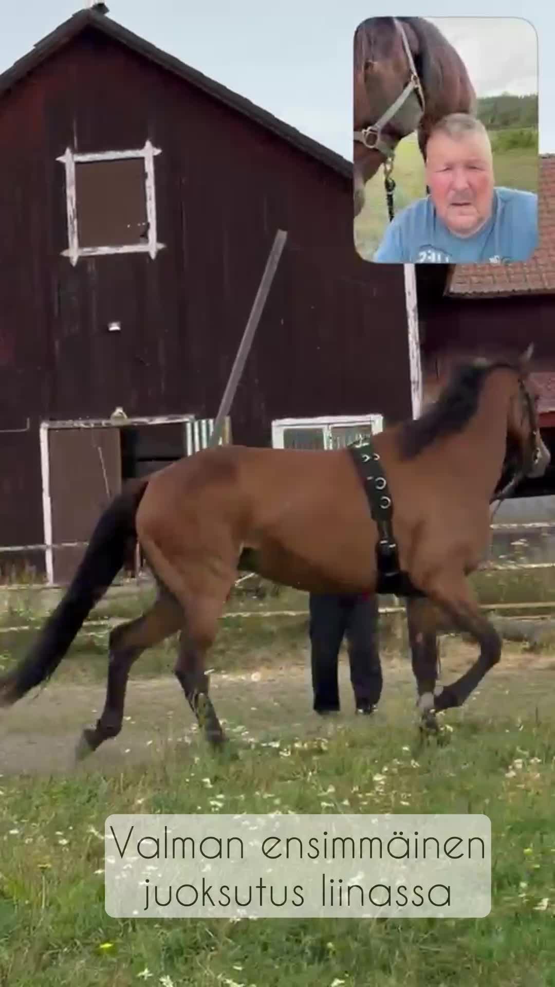 @Rakkautta ja raviurheilua