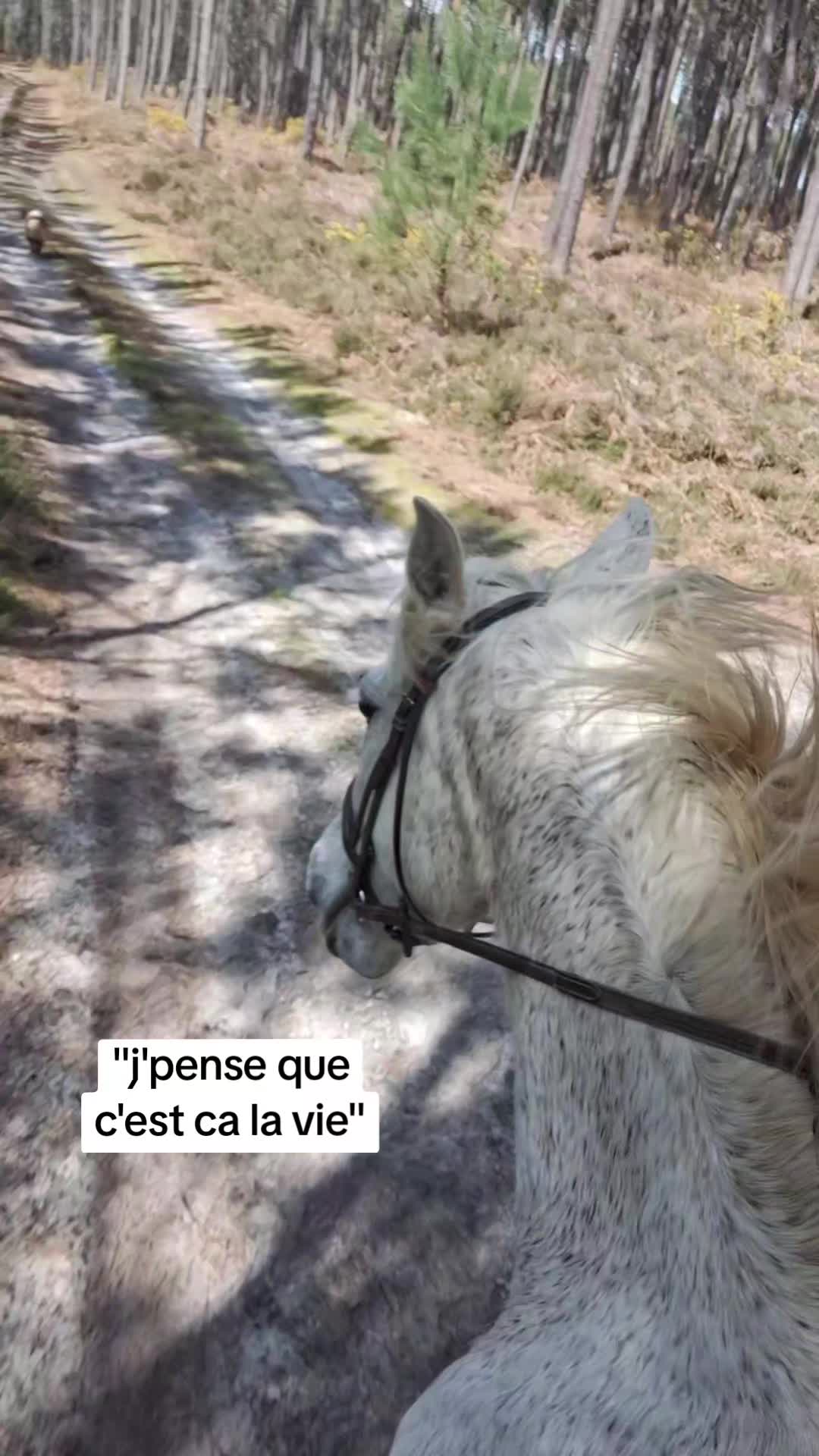 @Une.fleur.a.cheval