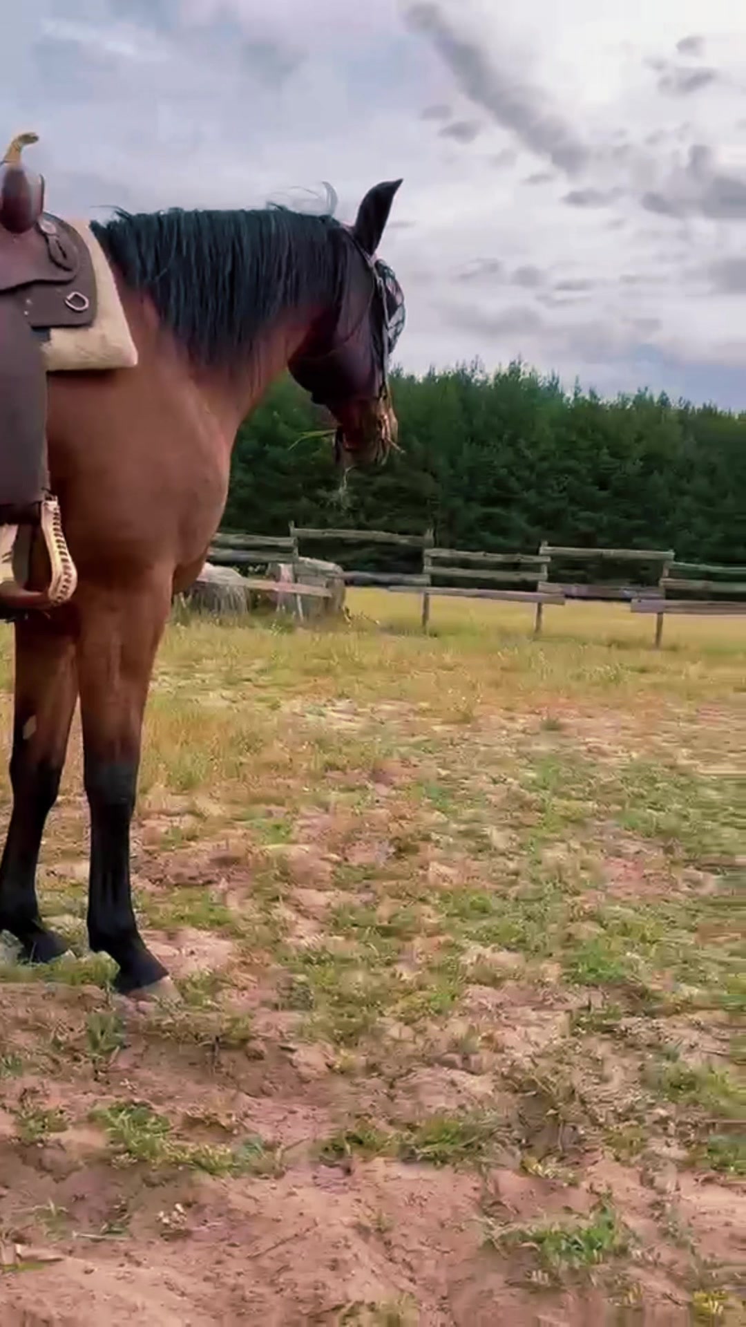 @Cestou Horsemanshipu