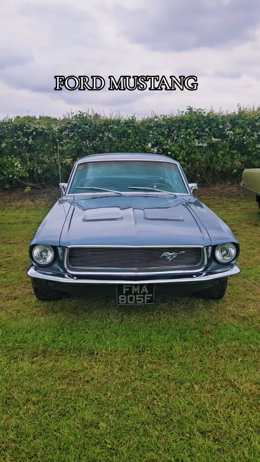 @MustangMack