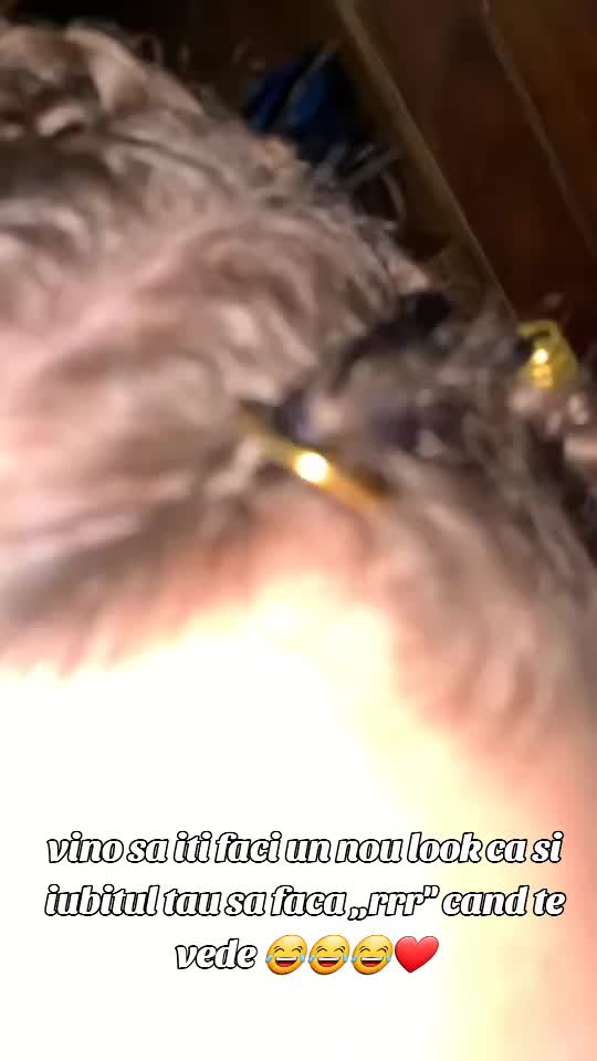 @ecabraidsploiestii
