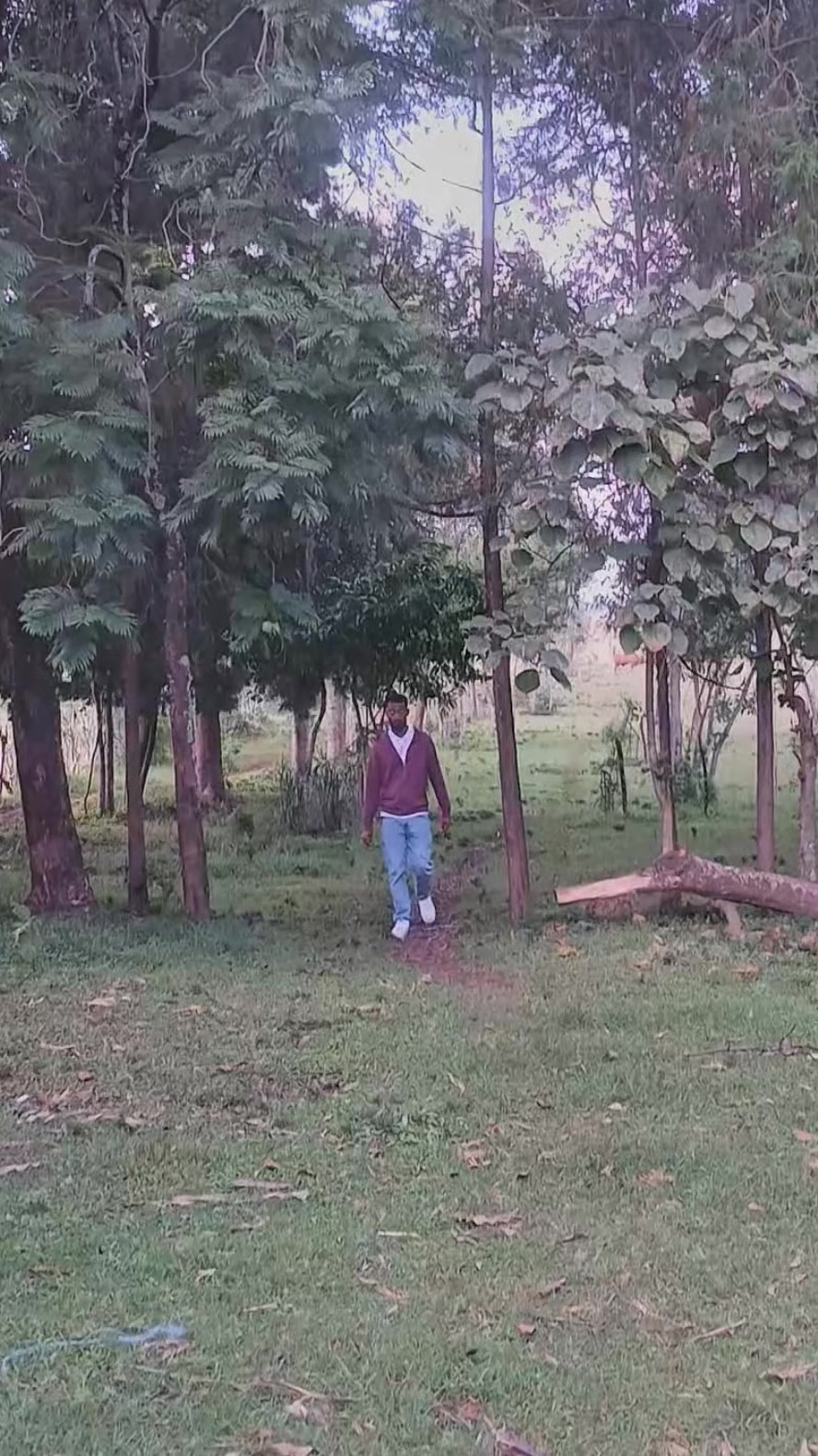 @ነቃ ጥበብ