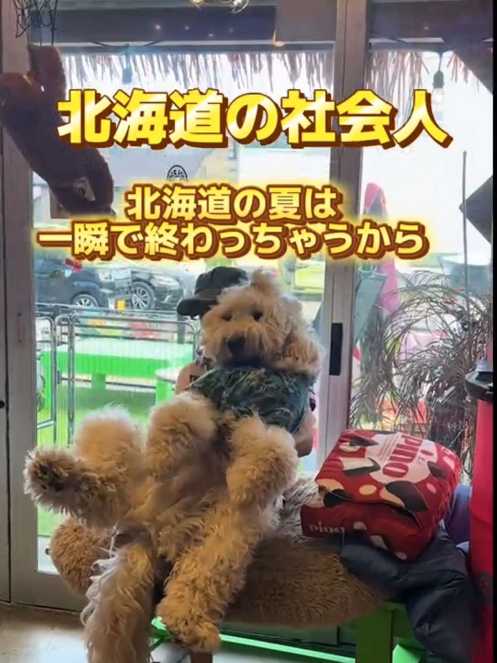 @ちーちょこ|Chiichoco👜
