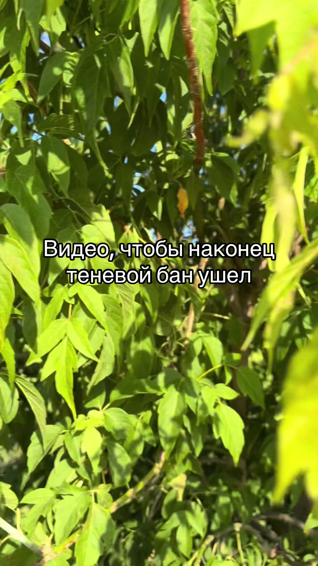 @арсений барбоскин