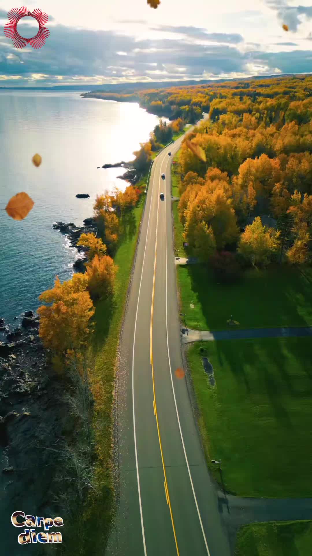 @Carpediem_75