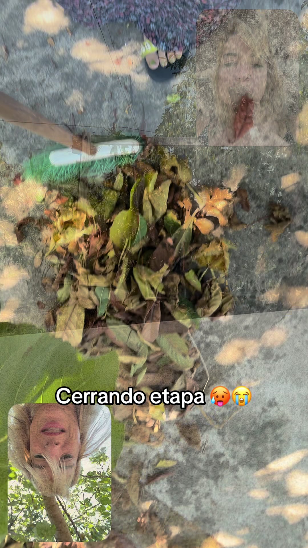 @Ester_verde