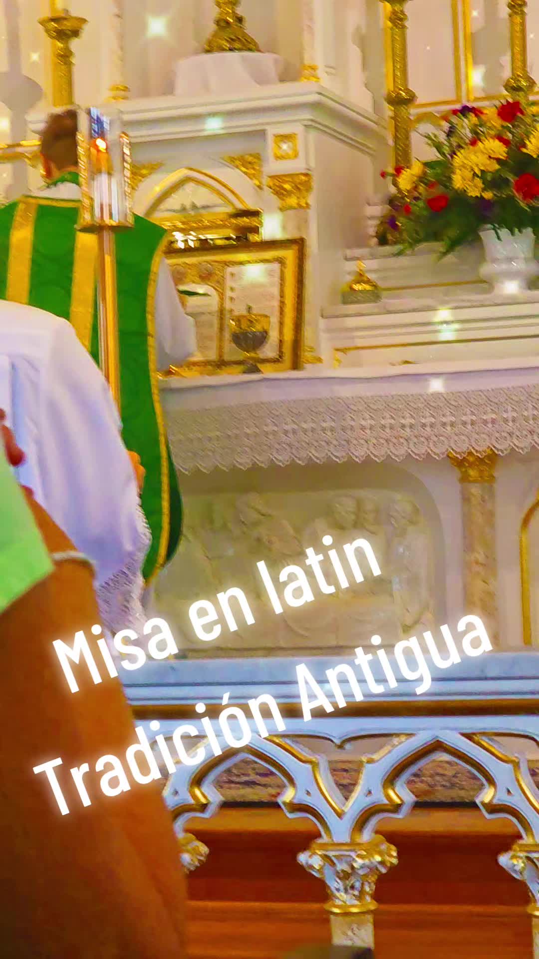 @Norma Vega