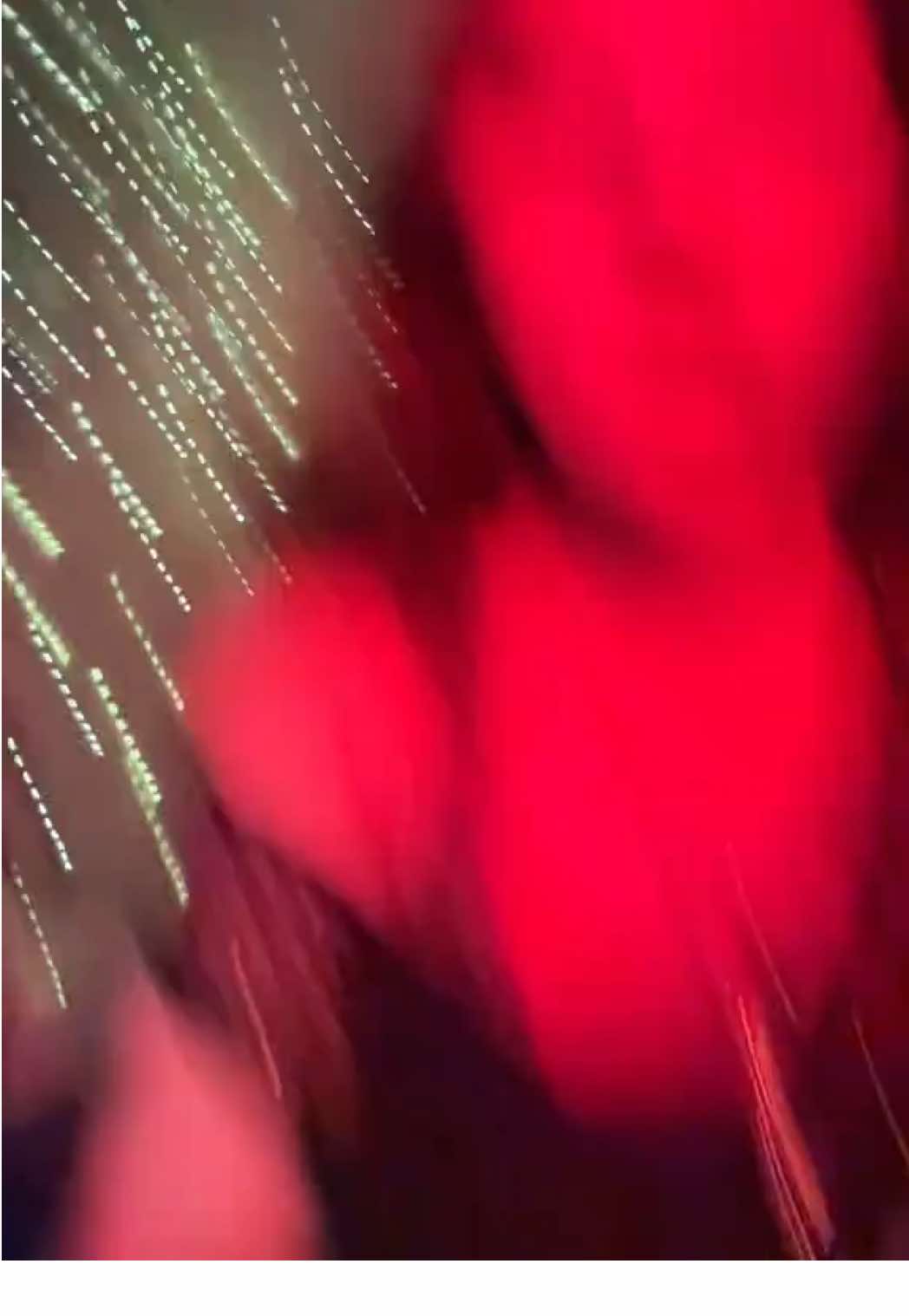 @phiiiii❦