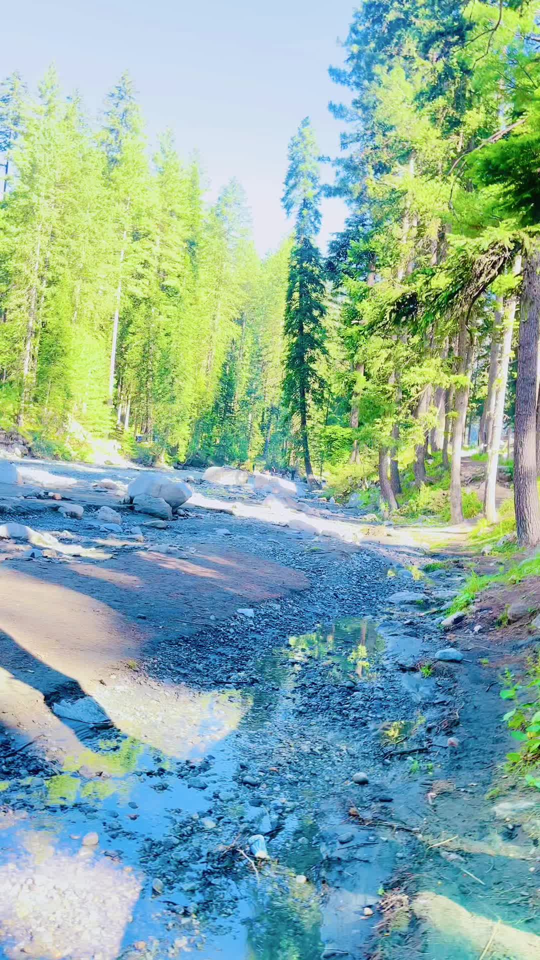 @Nasir Ali Orakzai