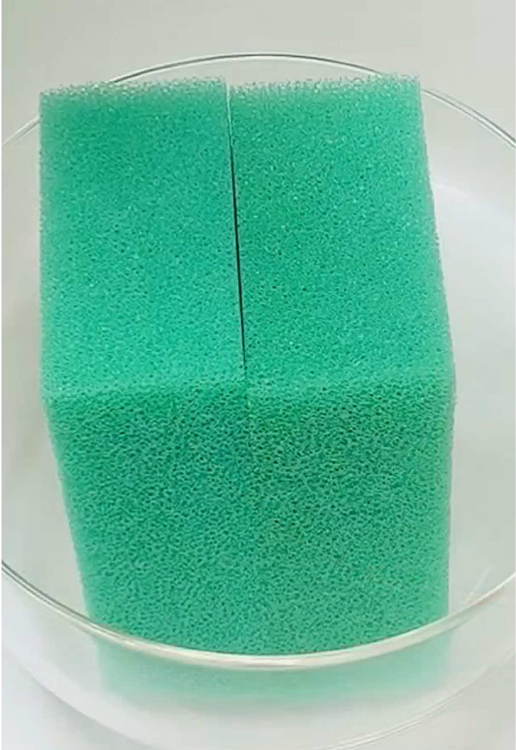@HD Spongetok