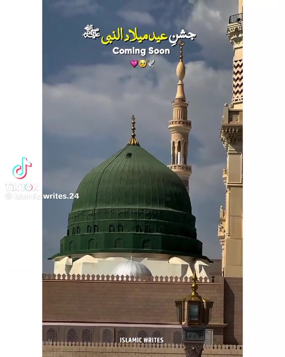 @misbah.hamid66