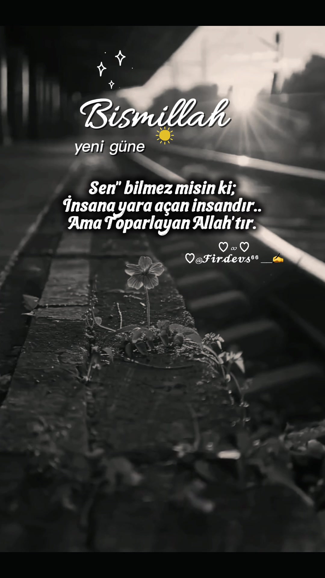 @Firdevs66