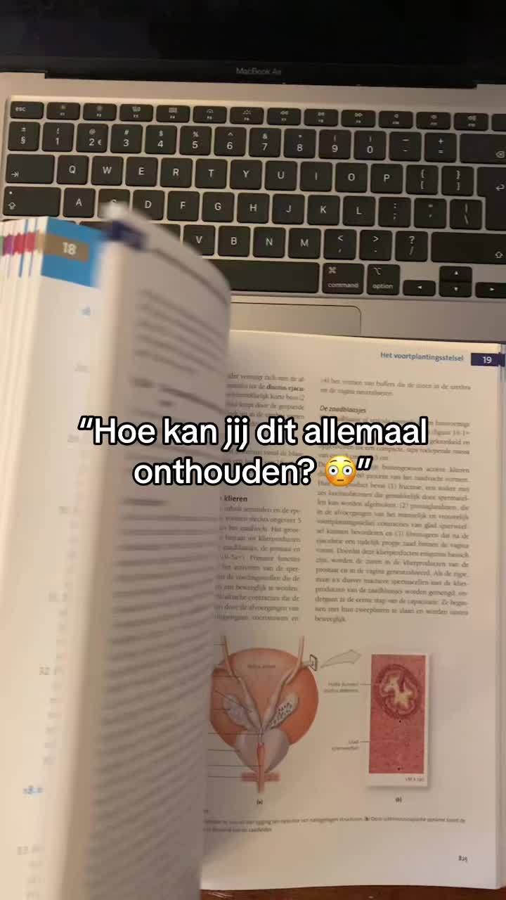@StudymetCarmen