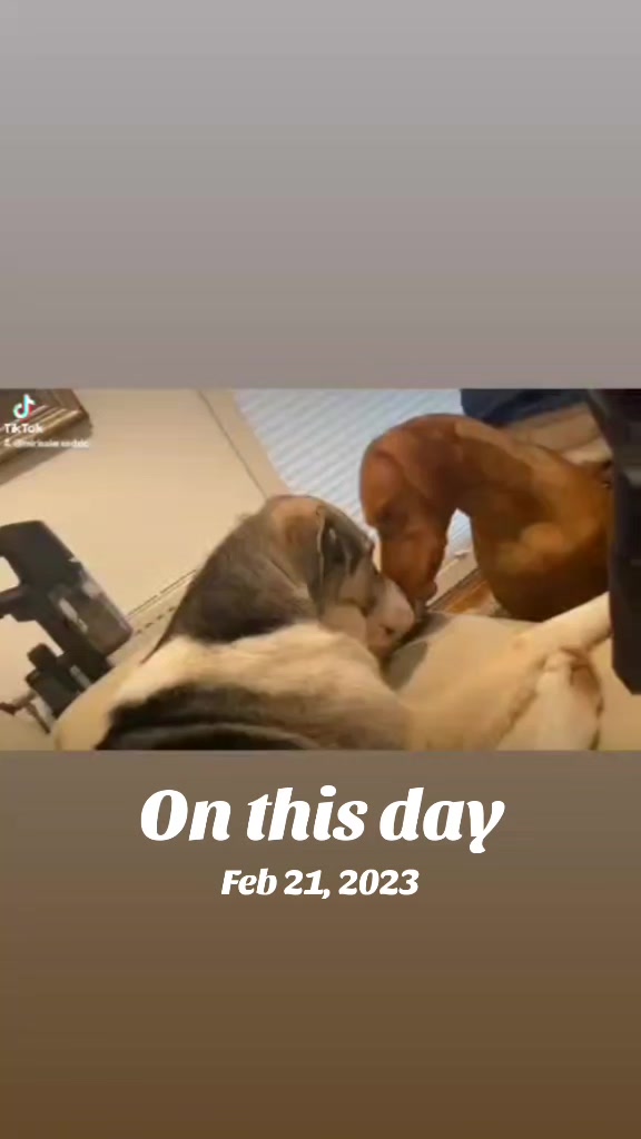 @Maktub