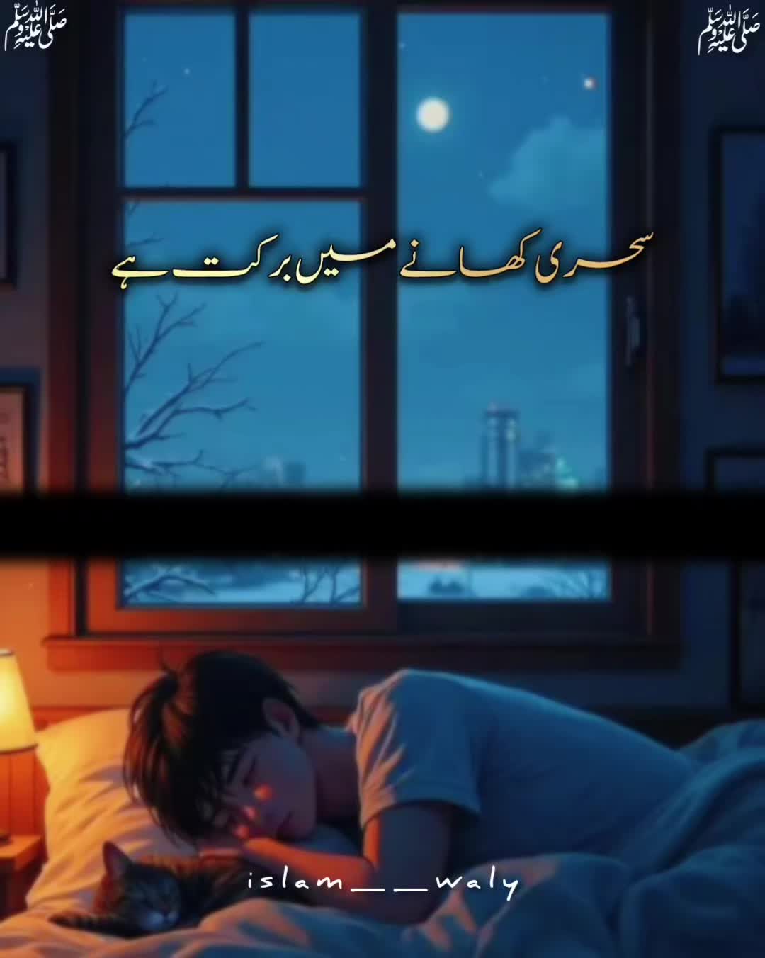 @Islam Waly