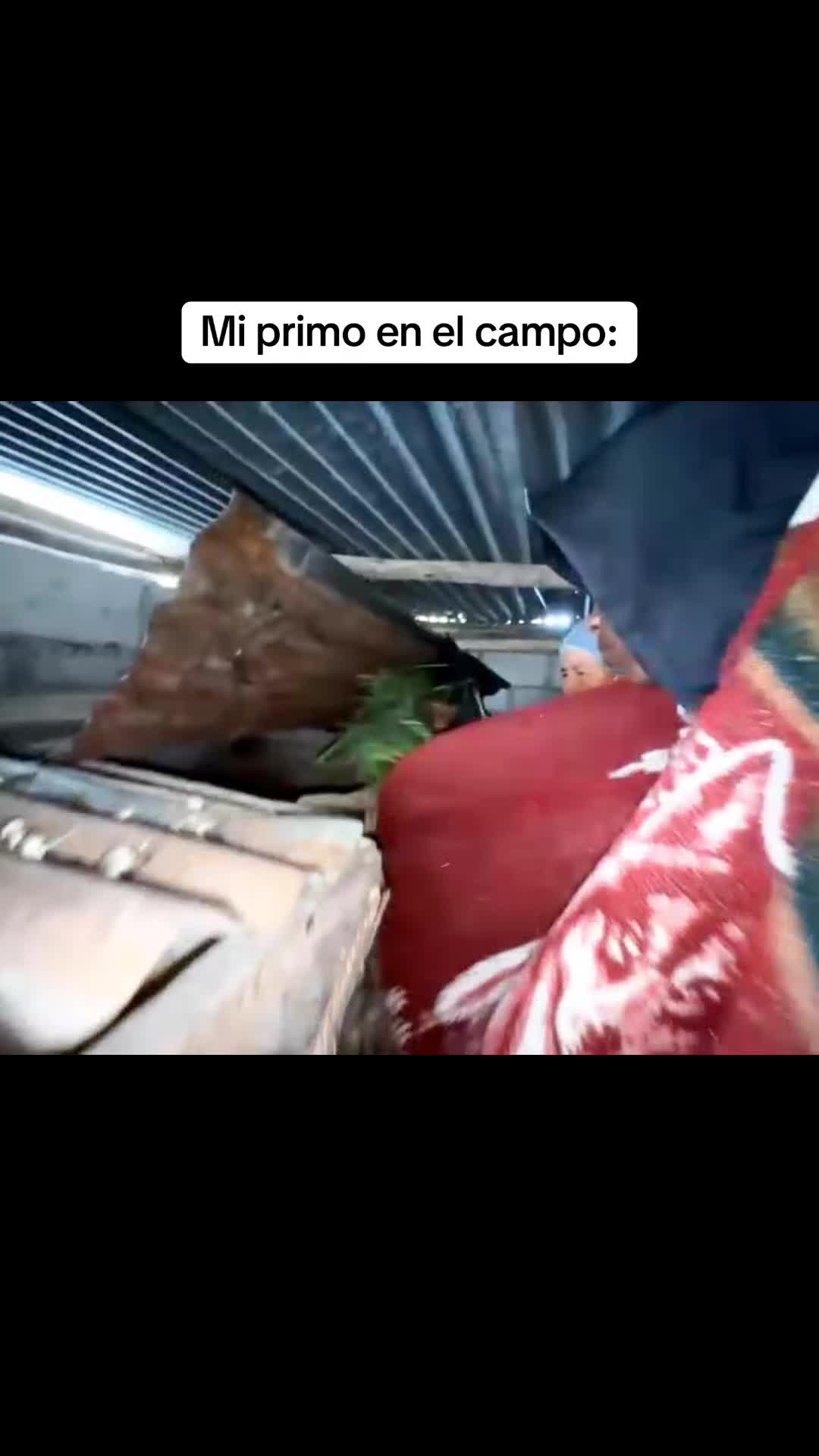 @jose.clips81