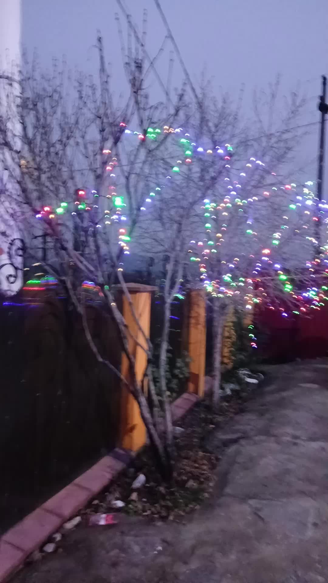 @michelemuscalu.1