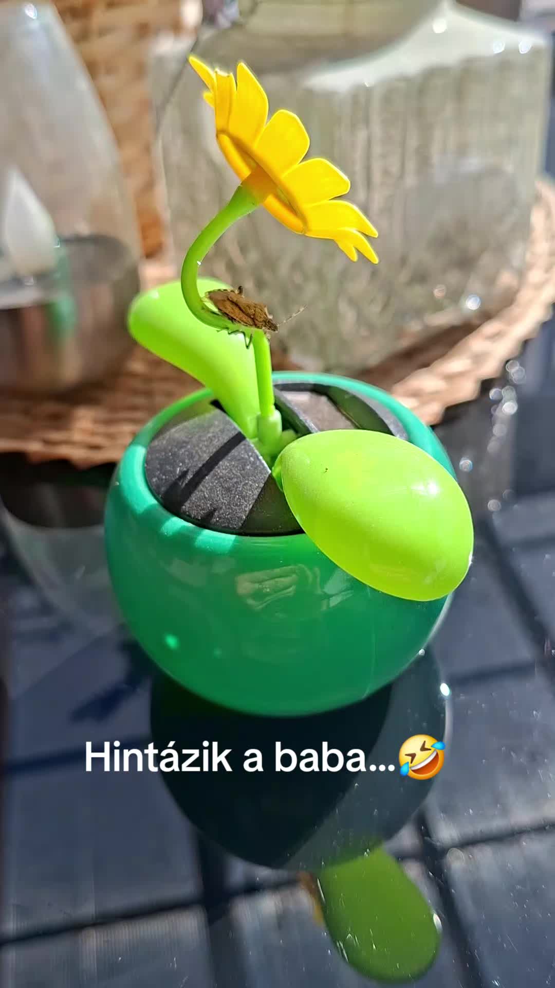 @Borbála Balogh590