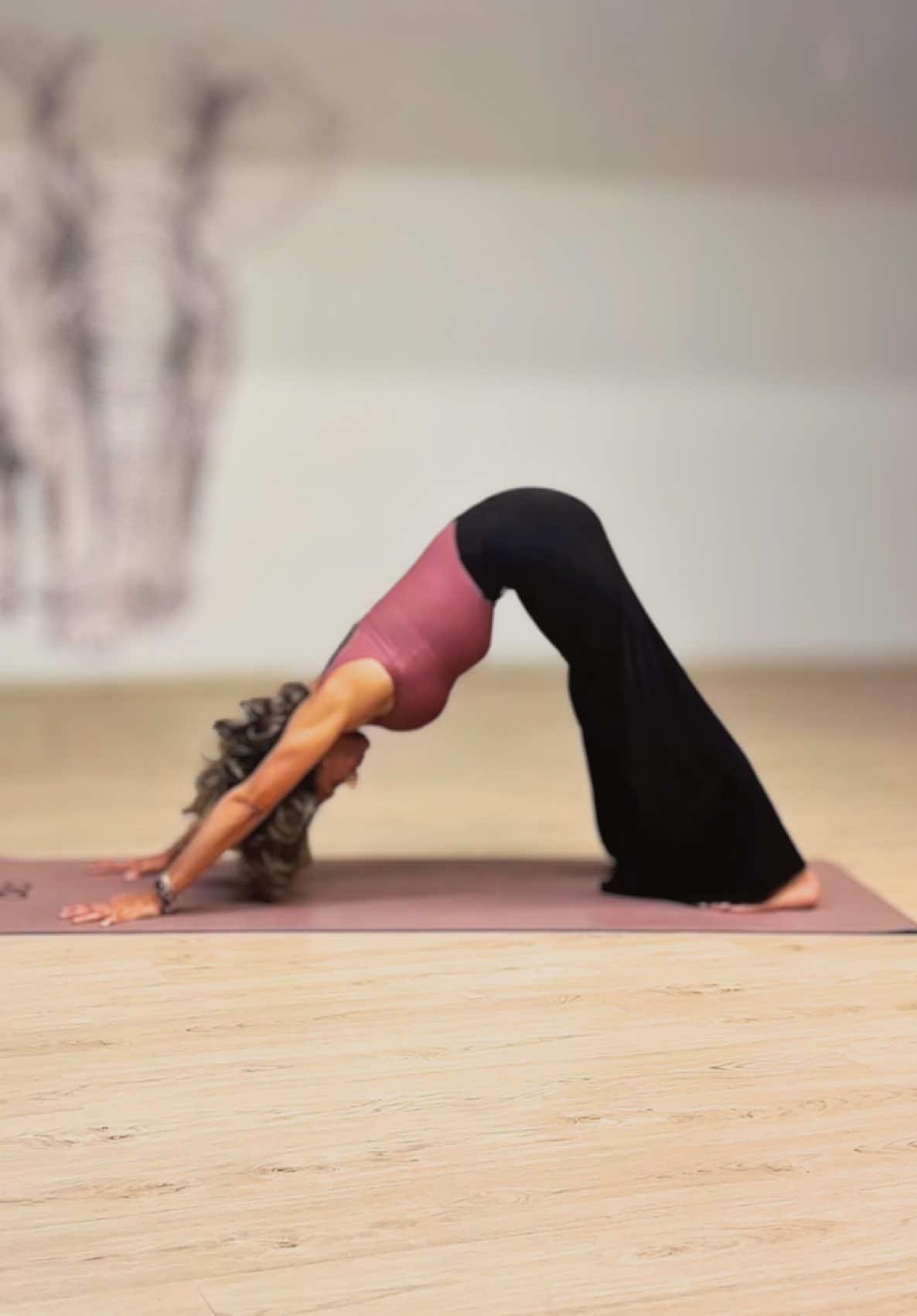 @sofiayoga.tf