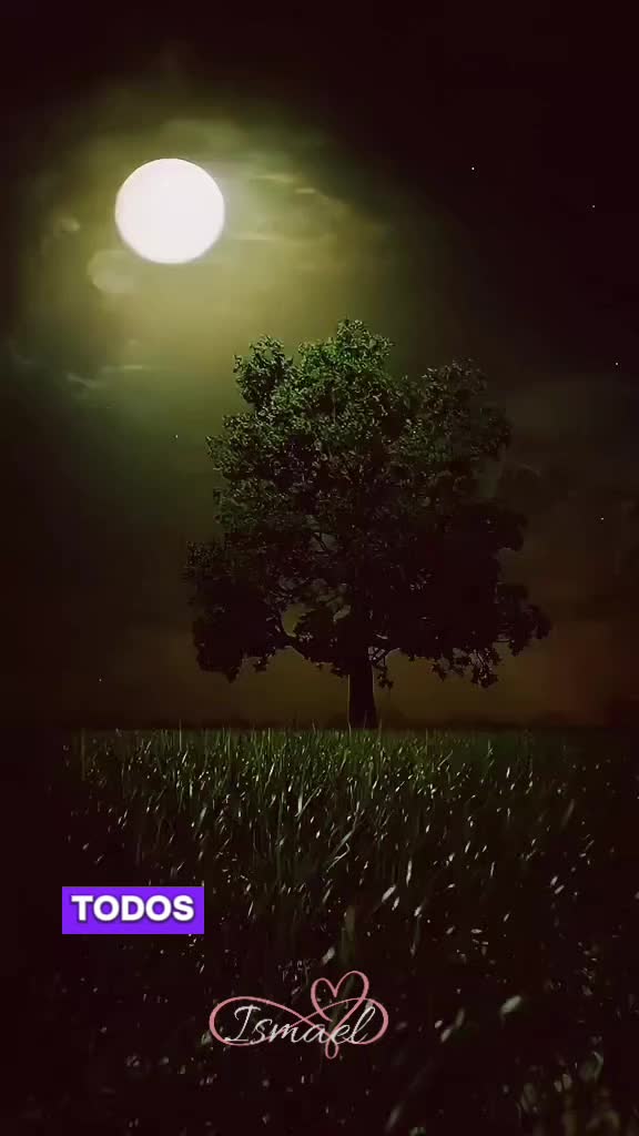 @âŸïžð°ððððððð¥ðïž