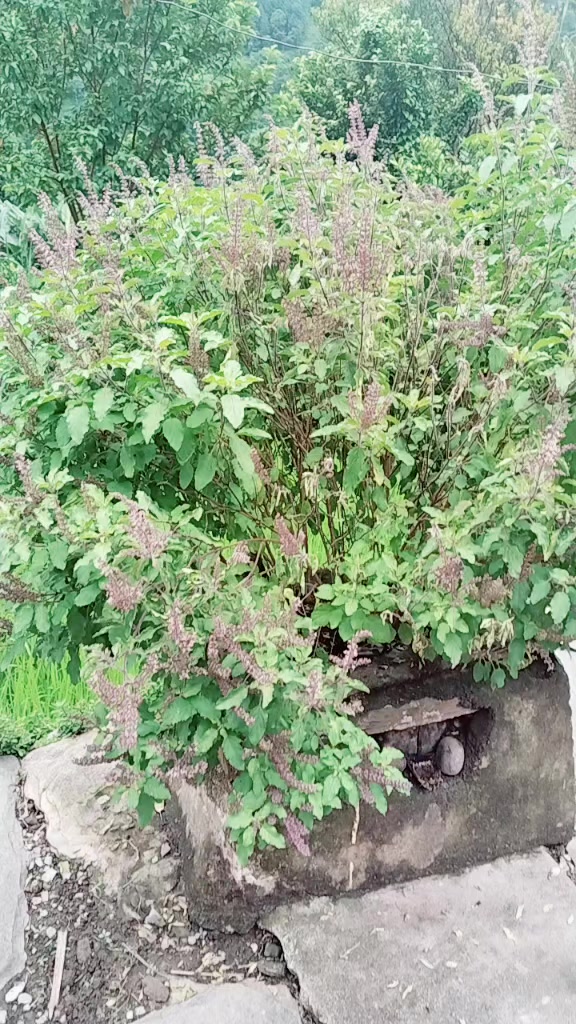 @Devi Khatri