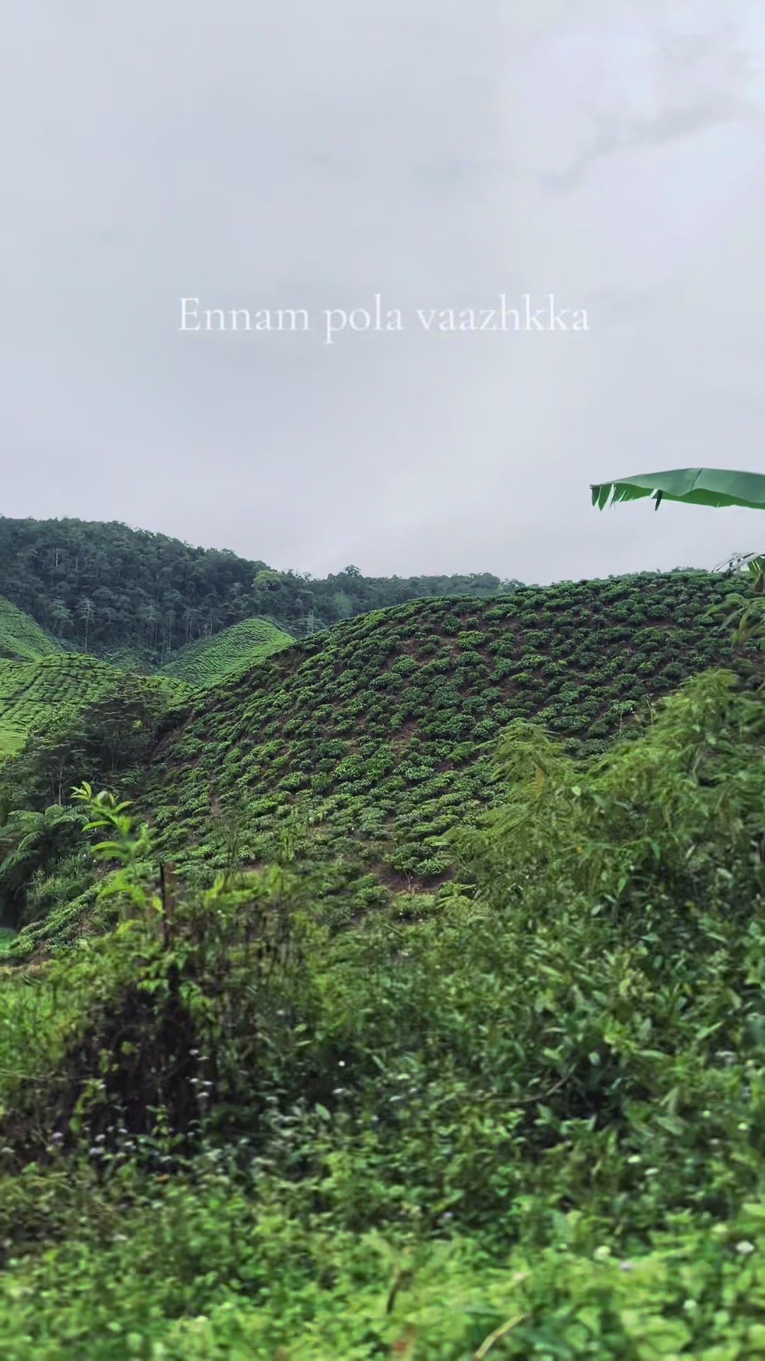 @Evaa.aa