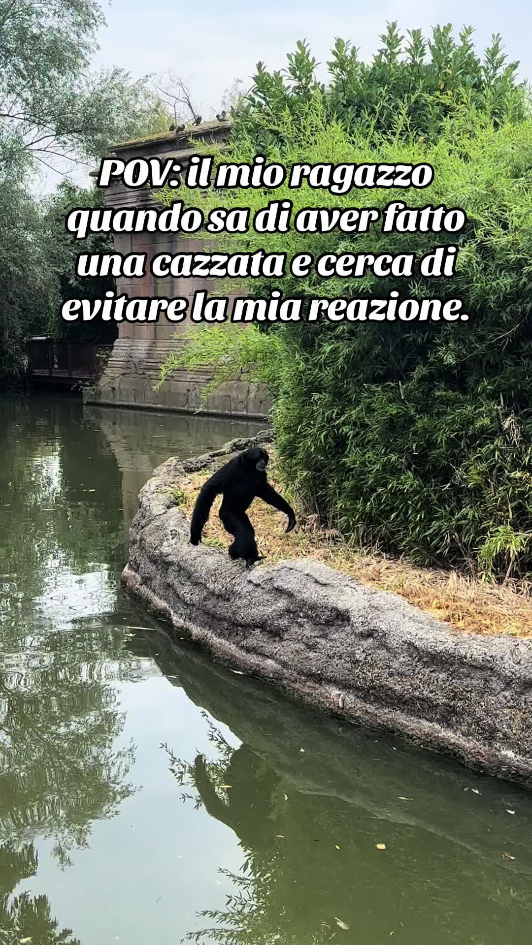 @Daniela