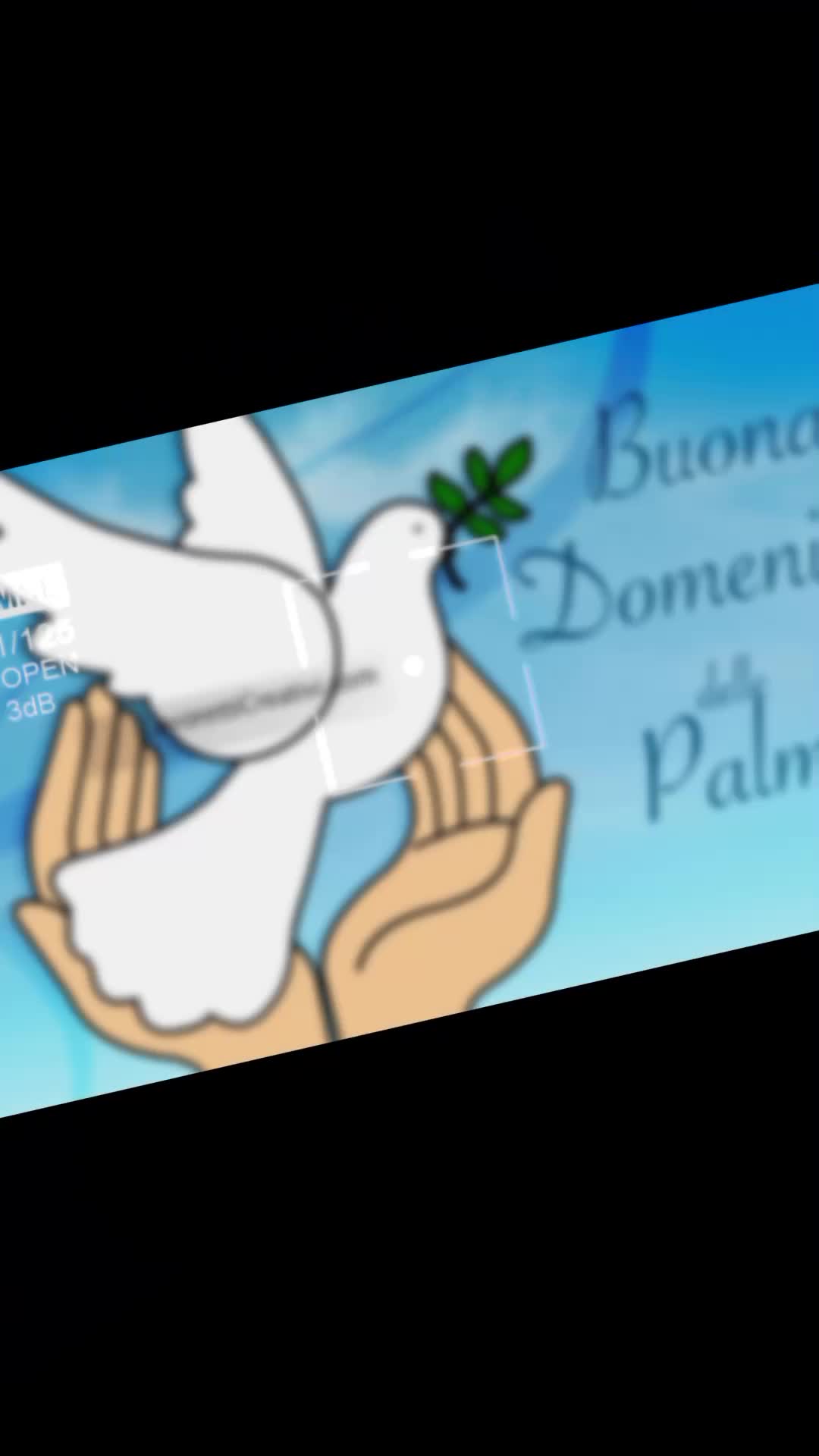@francogiordano72