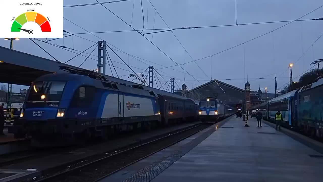 @Gysev_Vectron